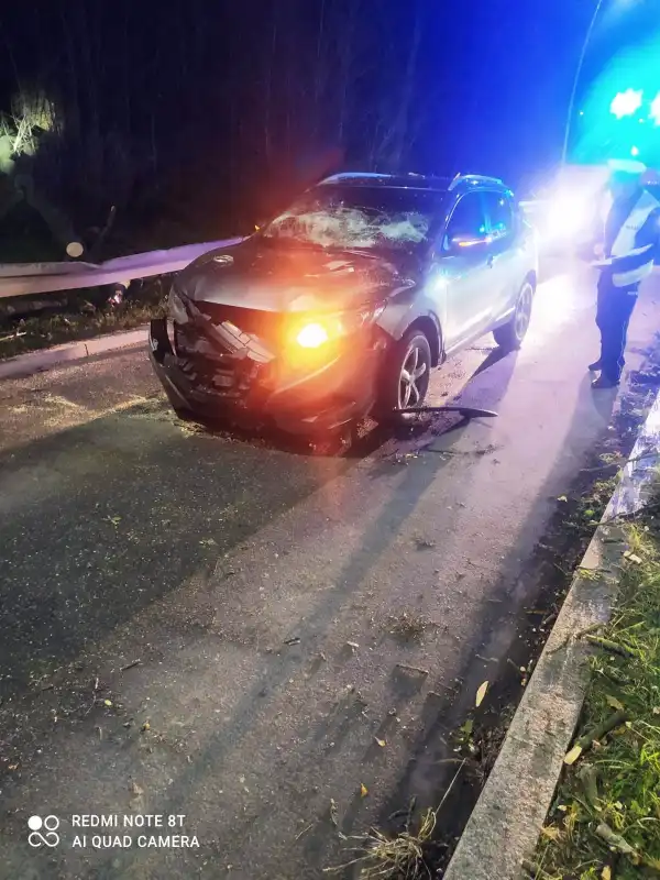 Niebezpieczne zdarzenie drogowe na ulicy Tarnowskiej w Nowym Sączu