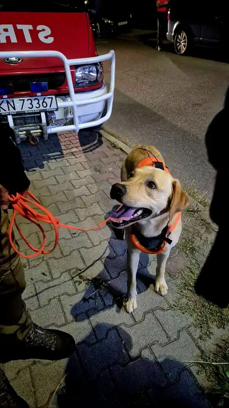 Dwukrotnie na ratunek. Grupa Ratownictwa Specjalnego OSP Nowy Sącz uczestniczyła w działaniach poszukiwawczych