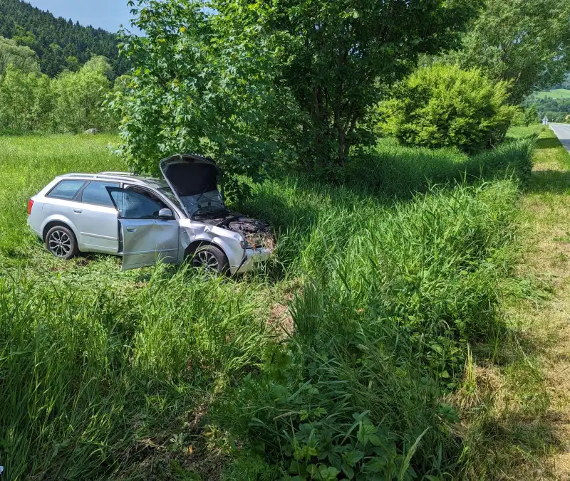 Łososina Dolna: samochód osobowy wypadł z drogi i "wylądował" na pobliskiej łące