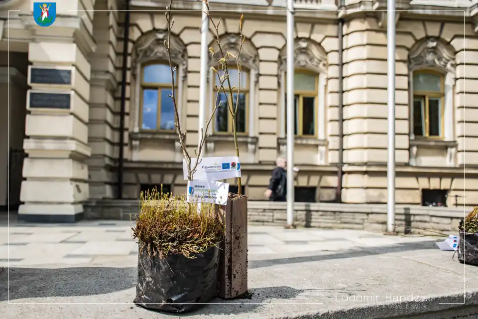 Nowy Sącz: Tłumy na I Małopolskim Dniu Dla Klimatu