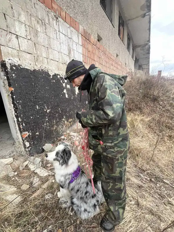 Próba w opuszczonym hotelu. Psy ratownicze OSP Nowy Sącz na szkoleniu