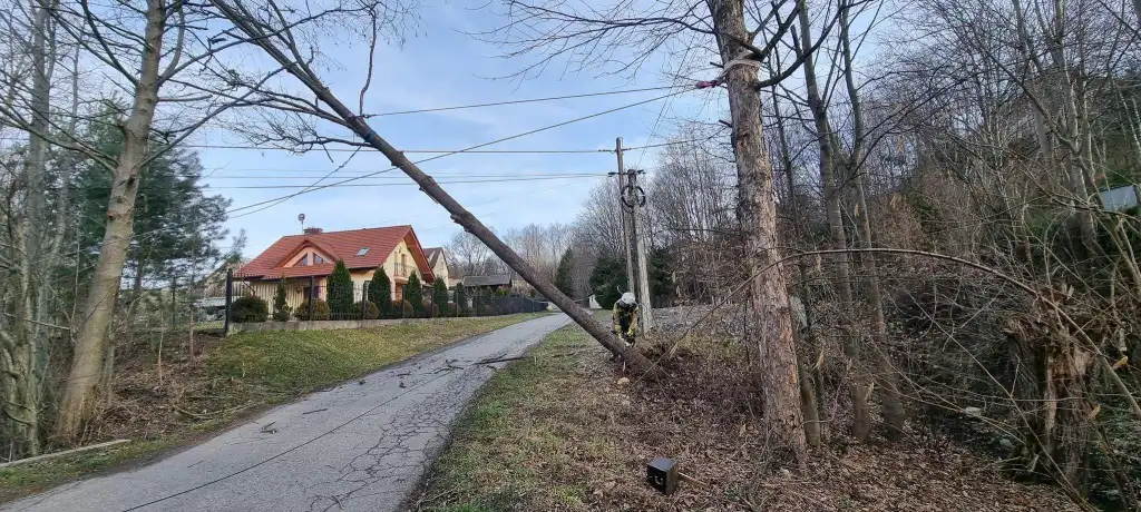 Silnie wiejący wiatr na Sądecczyźnie przysporzył pracy strażakom. W dwa dni interweniowali ponad 40 razy