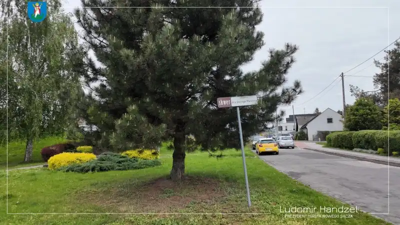 Nowy Sącz zyska kolejny park kieszonkowy. Zielona metamorfoza skweru im. dr J. Masiora