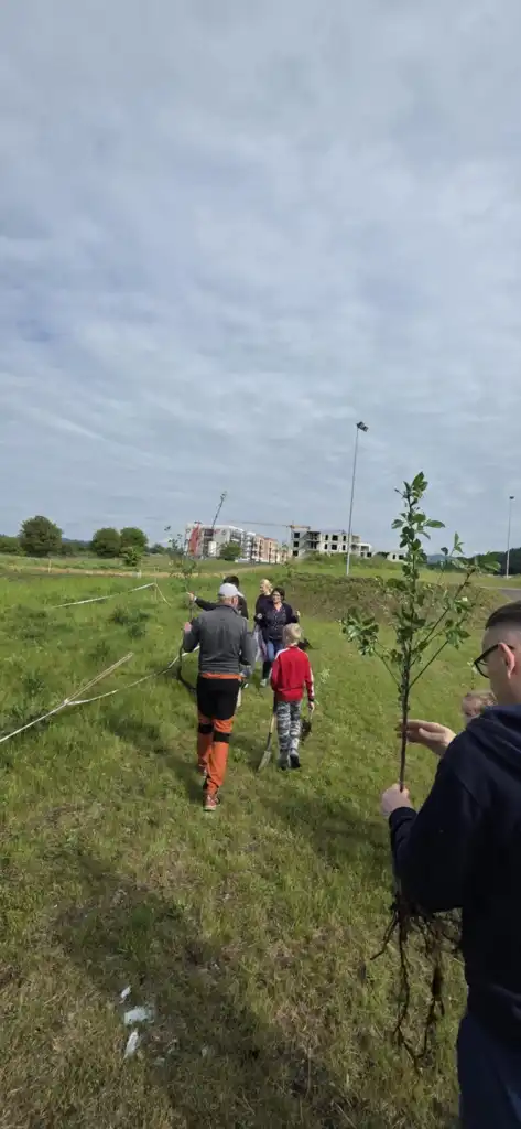 Zasadzili drzewa, posiali przyszłość. Zielona akcja w Starym Sączu