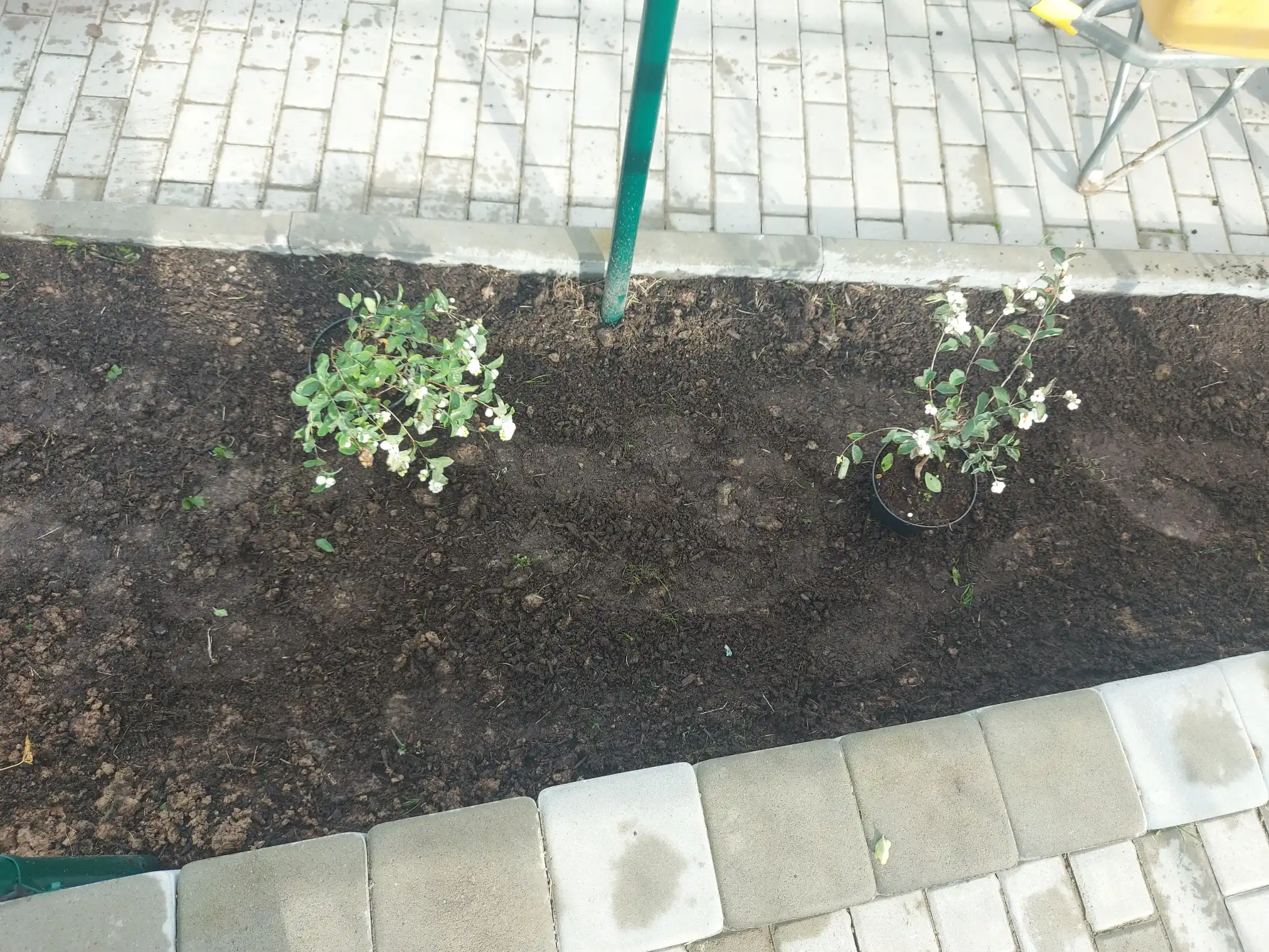 Stowarzyszeni dla Sądeckiej Ziemi z dofinansowaniem do projektu „Czym Małopolska Pszczoła może zachwycić seniora?”