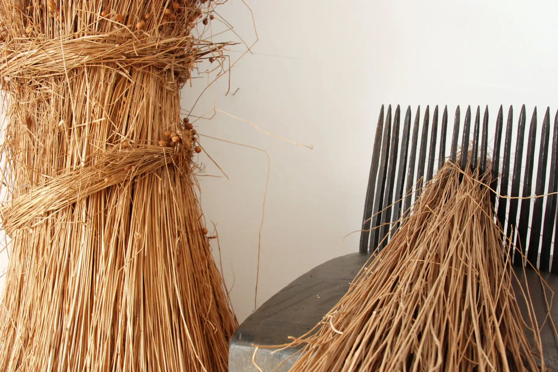 Muzeum Okręgowe w Nowym Sączu realizuje projekt „Drzewo świata – rośliny w kulturze ludowej Sądecczyzny