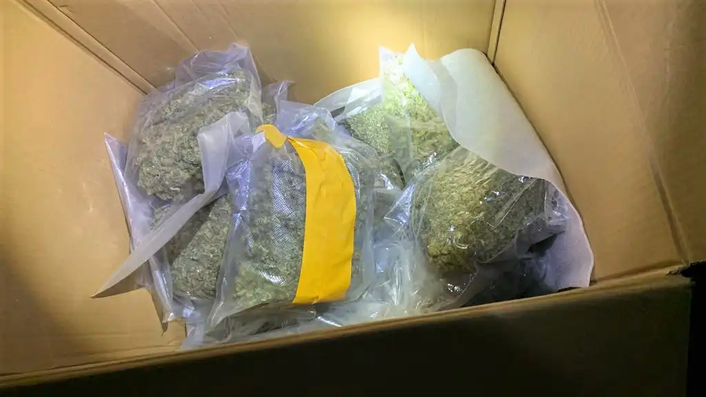 Sądecczyzna: 57-latek trzymał w domu narkotyki. O czarnorynkowej wartości blisko miliona złotych