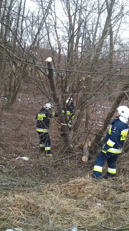 Wietrzna niedziela na Sądecczyźnie  Strażacy usuwali skutki silnego wiatru
