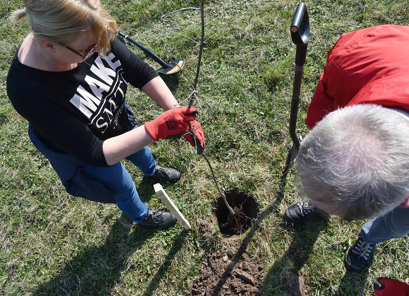 Park się rozrasta. 230 nowych drzewek przy obiektach Sądeckich Wodociągów