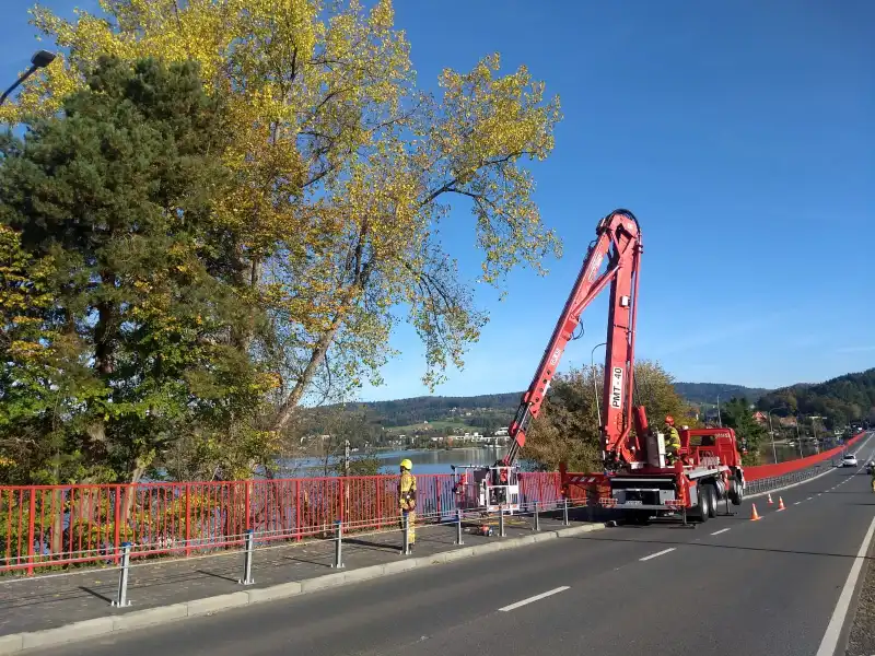 Gródek nad Dunajcem: Uszkodzona przez bobry topola mogła spaść na drogę wojewódzką nr 975. Interweniowali strażacy
