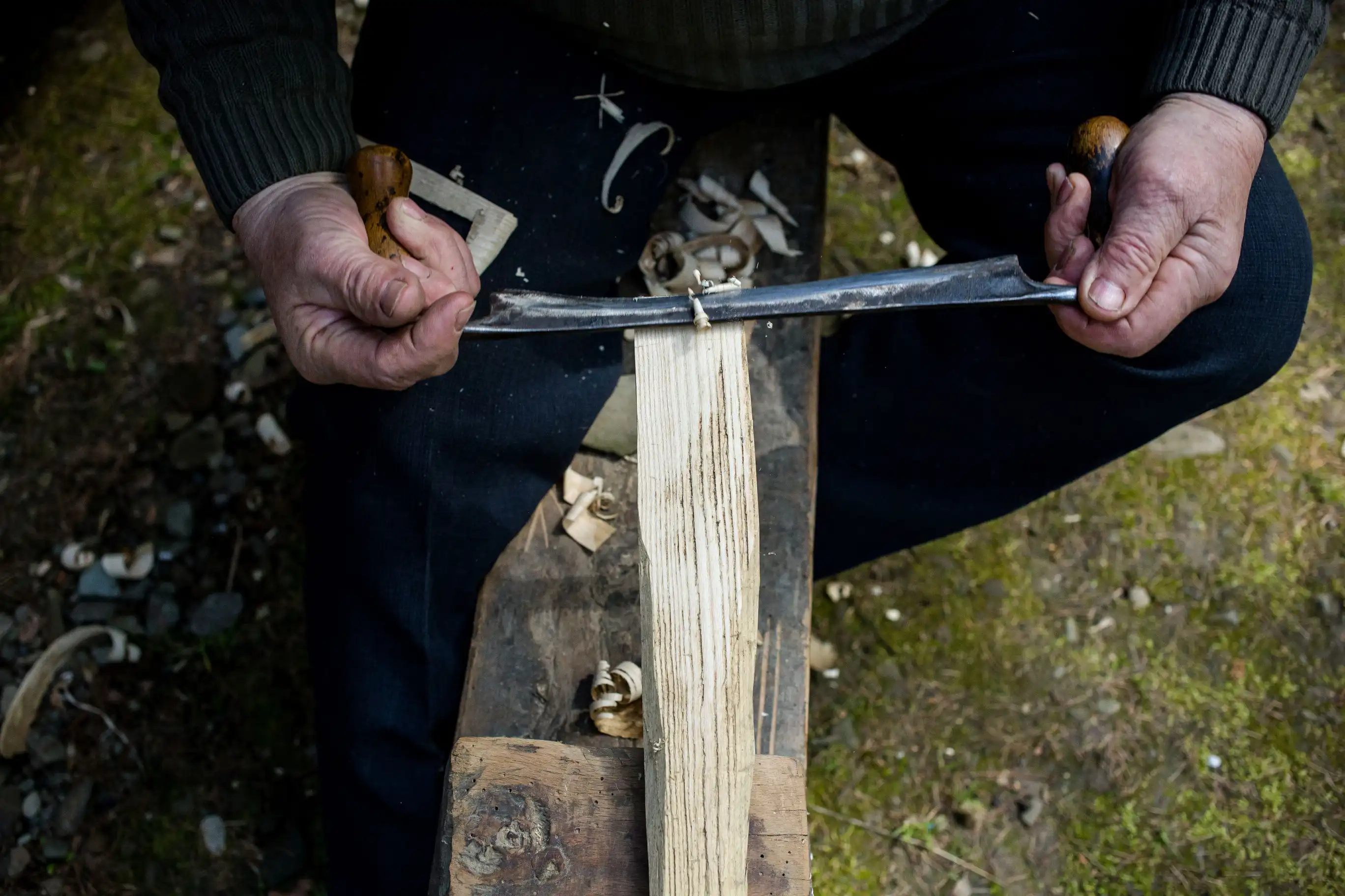 Muzeum Okręgowe w Nowym Sączu realizuje projekt „Drzewo świata – rośliny w kulturze ludowej Sądecczyzny