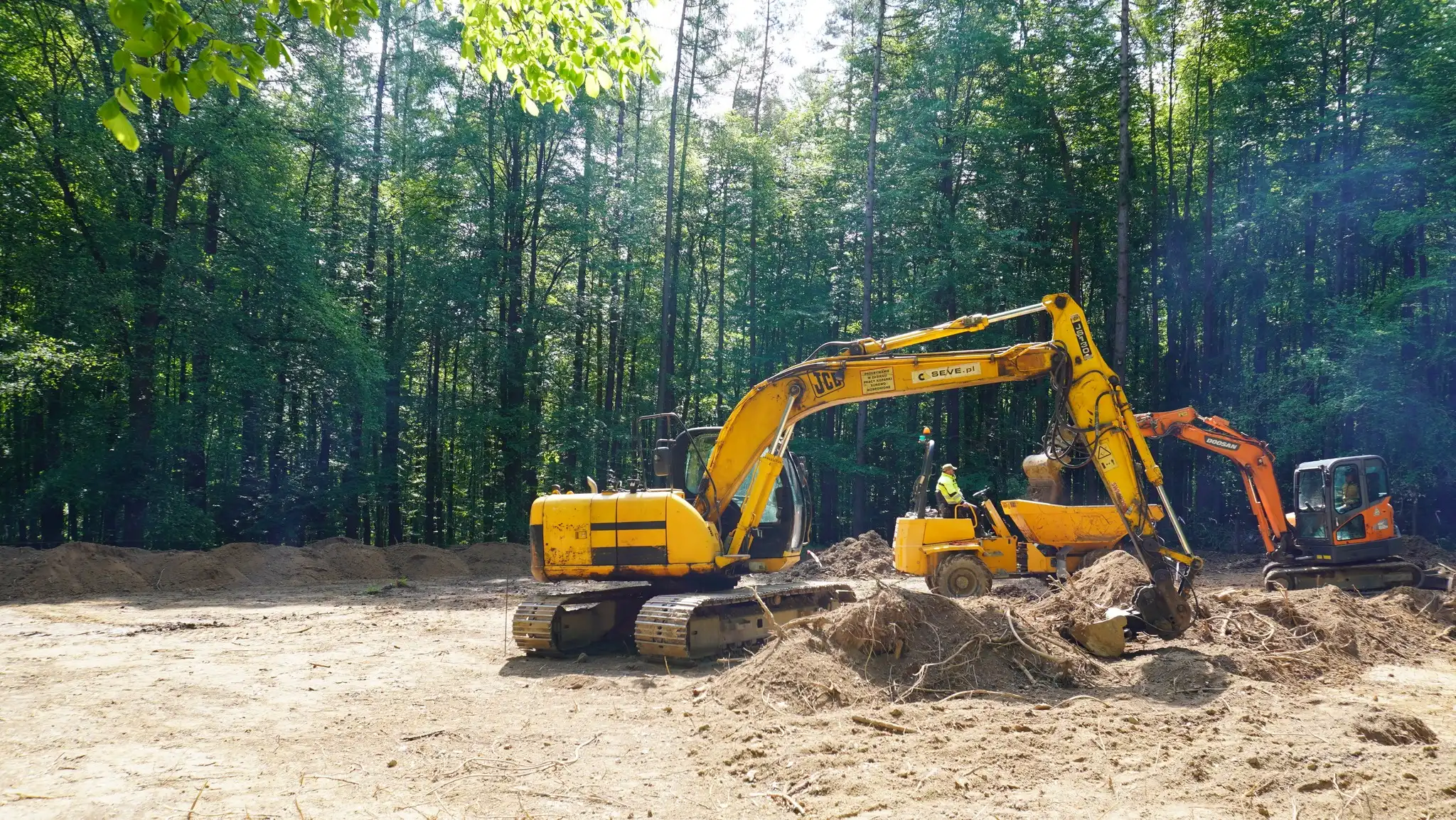 Orbisfera rośnie na Miejskiej Górze. Nowa atrakcja w Starym Sączu