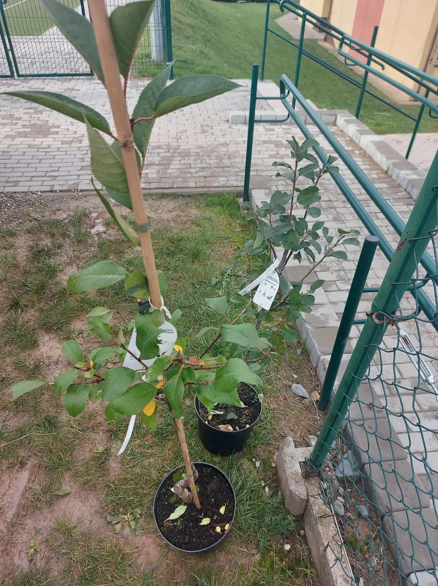 Stowarzyszeni dla Sądeckiej Ziemi z dofinansowaniem do projektu „Czym Małopolska Pszczoła może zachwycić seniora?”