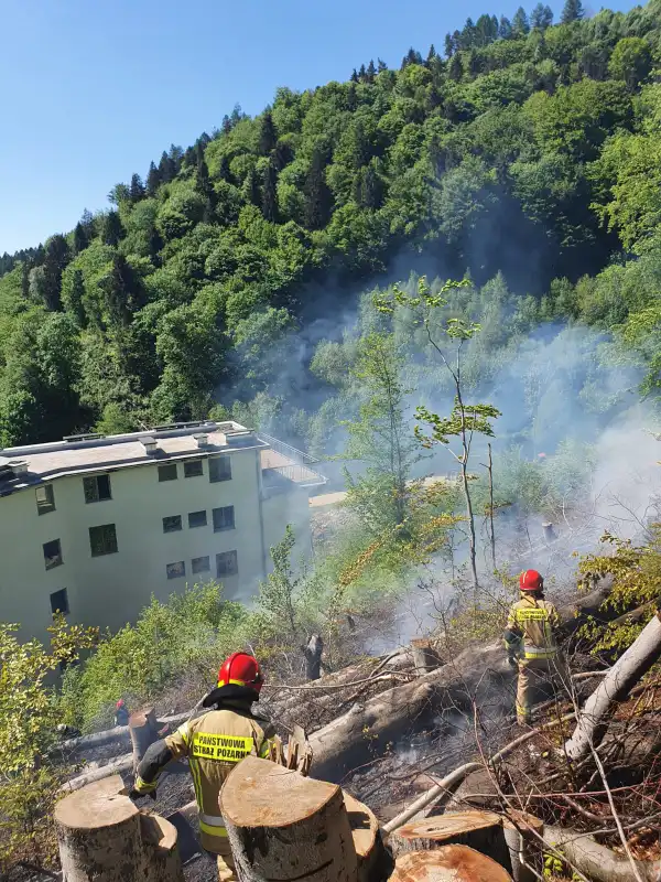 Pożar lasu w Żegiestowie. Z ogniem walczyło 12 zastępów straży