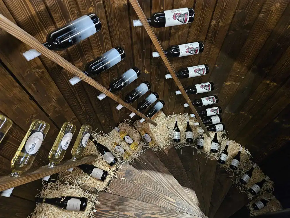 Zamek w Muszynie oficjalnie otwarty dla zwiedzających