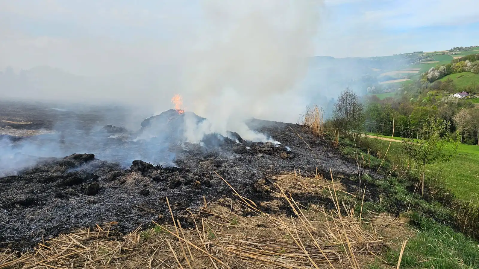 Pożar w Słowikowej. Paliła się trawa energetyczna