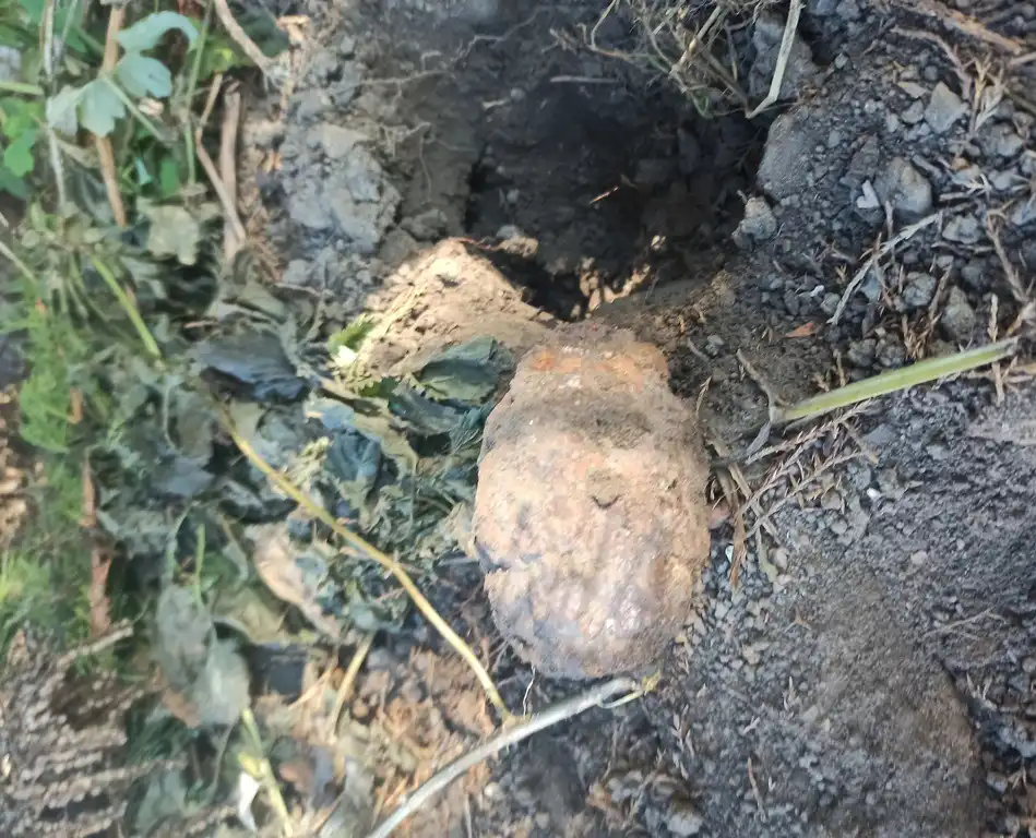 Kopała w ogródku. Nie spodziewała się na co natrafi