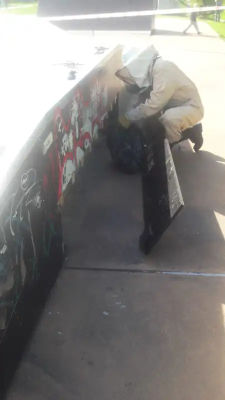 Krynica-Zdrój: osy na placu zabaw. Interweniowali strażacy