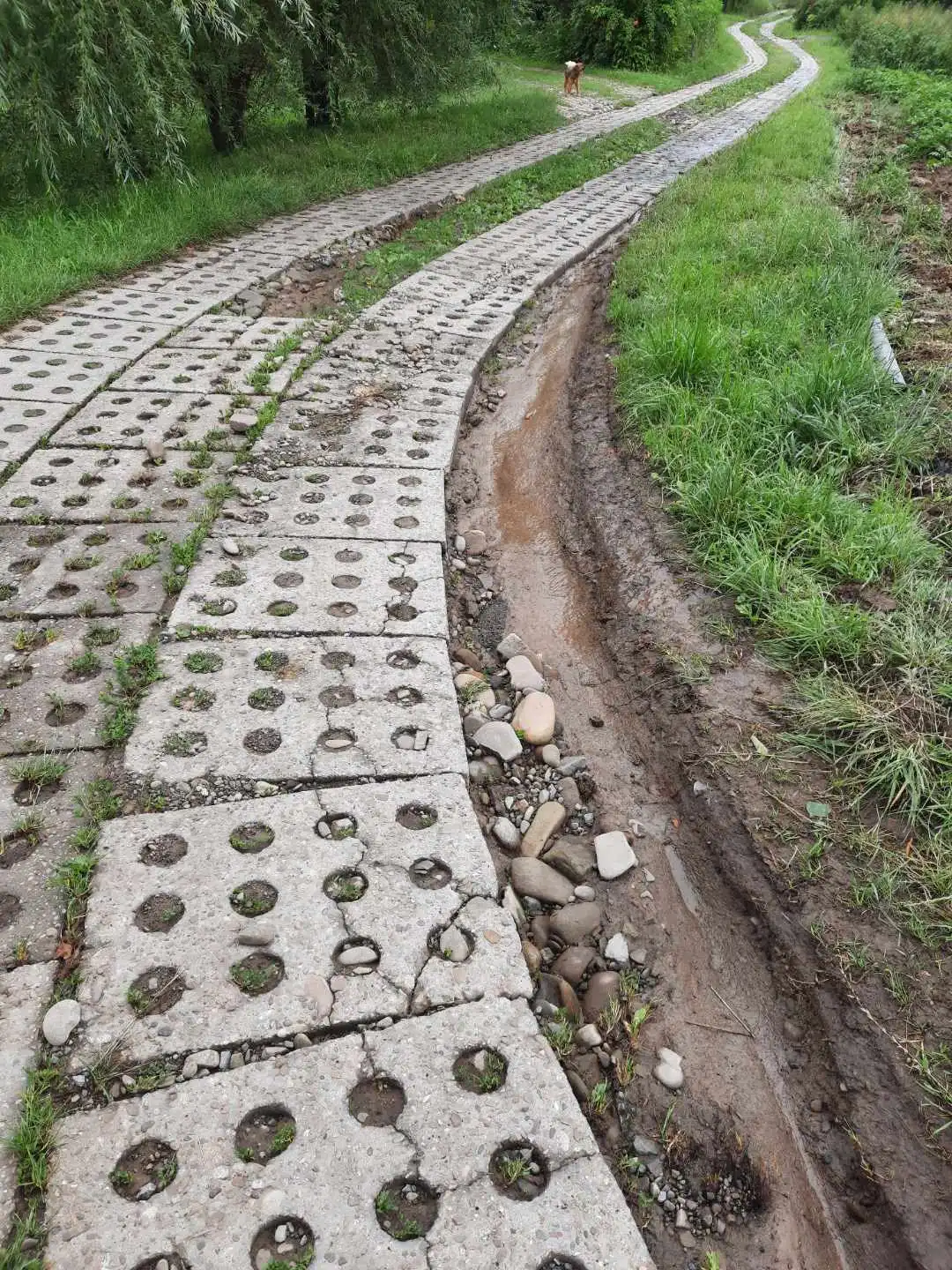 Będzie nowa droga. Witowice Dolne z dofinansowaniem