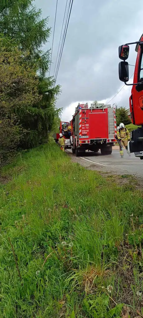 Kolizja na granicy Królowej Górnej i Ptaszkowej. Interweniowały trzy jednostki straży