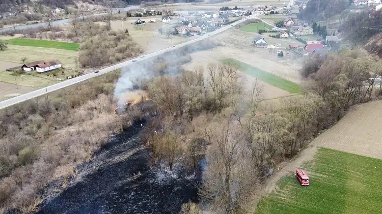 Na Sądecczyźnie płoną suche trawy