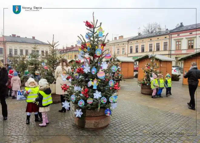 Świąteczna magia na nowosądeckim rynku. Choinki ozdobione przez dzieci
