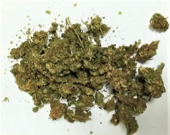 45-latek trzymał w lodówce marihuanę
