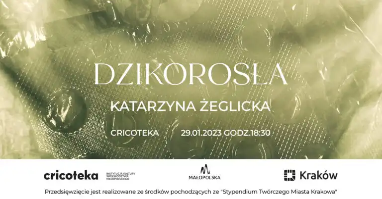 Małopolska: Wydarzenia kulturalne na weekend 26 - 29 stycznia
