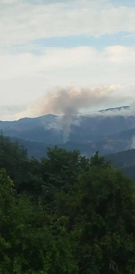 Piorun wywołał pożar. Strażacy bronili przyległych zabudowań