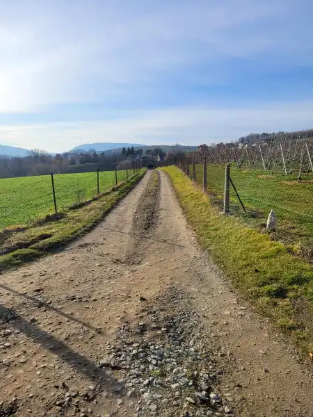 Gmina Łososina Dolna: Kolejne dwie drogi zostaną zmodernizowane dzięki środkom zewnętrznym