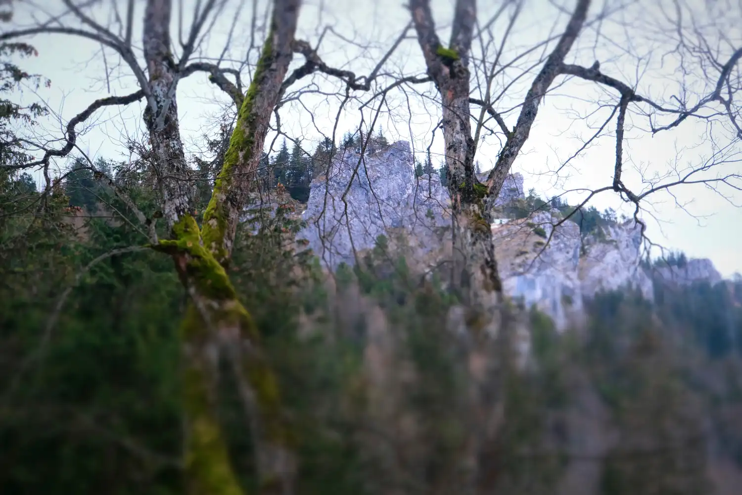 Karpacki Oddział Straży Granicznej podsumował 2022 rok