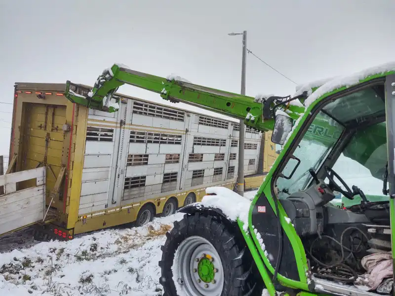 Trzetrzewina: naczepa w której przewożone były zwierzęta osunęła się z drogi