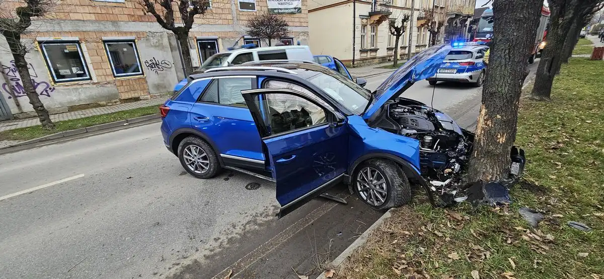 Służby interweniowały na Kunegundy. Samochód uderzył w drzewo