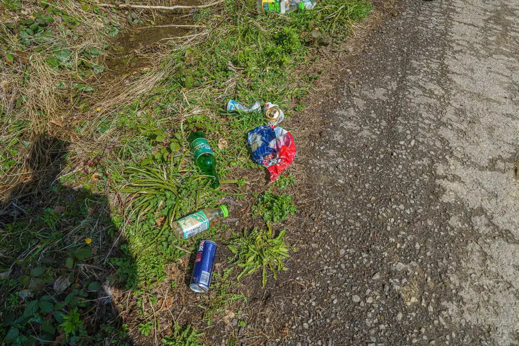 Akcja „Dbam o Sądeckie”: Pokonali blisko 14 km i zebrali 19 worków śmieci o pojemności 80 litrów