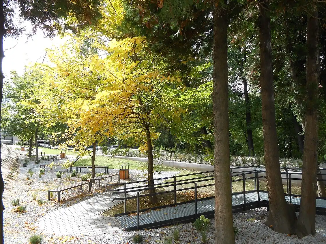 Teren przy sądeckim szpitalu zrewitalizowany