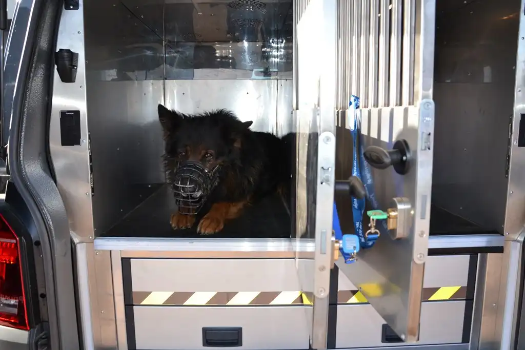 Sądecka Policja zyskała nowoczesny radiowóz do bezpiecznego transportu psów służbowych