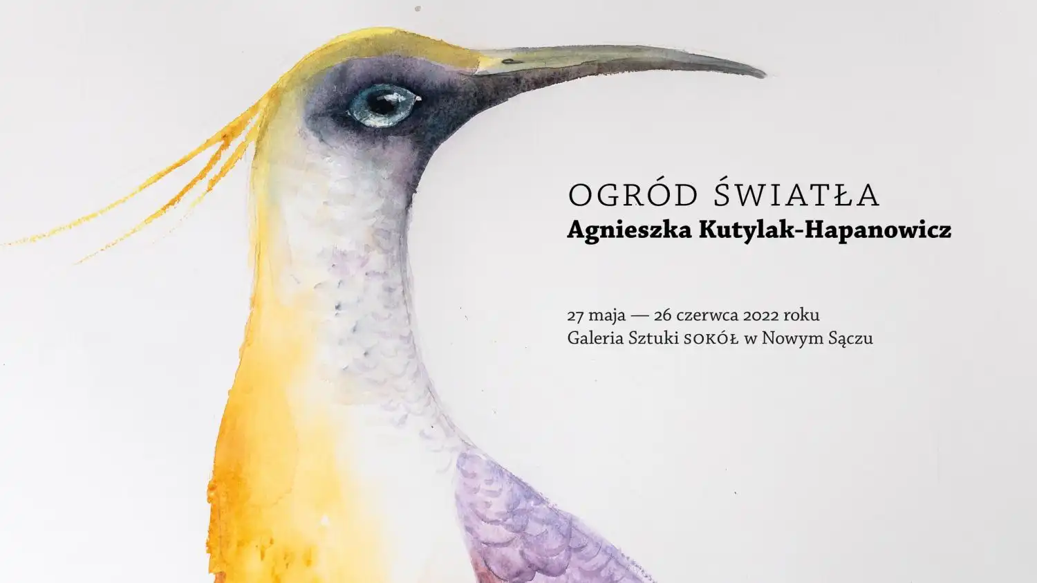 Małopolska: Wydarzenia kulturalne na weekend 26 - 29 maja