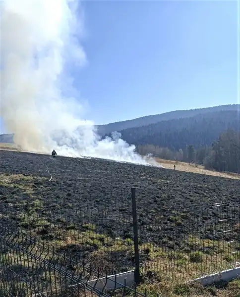Zaczęło się od palenia gałęzi, skończyło pożarem prawie hektara łąki