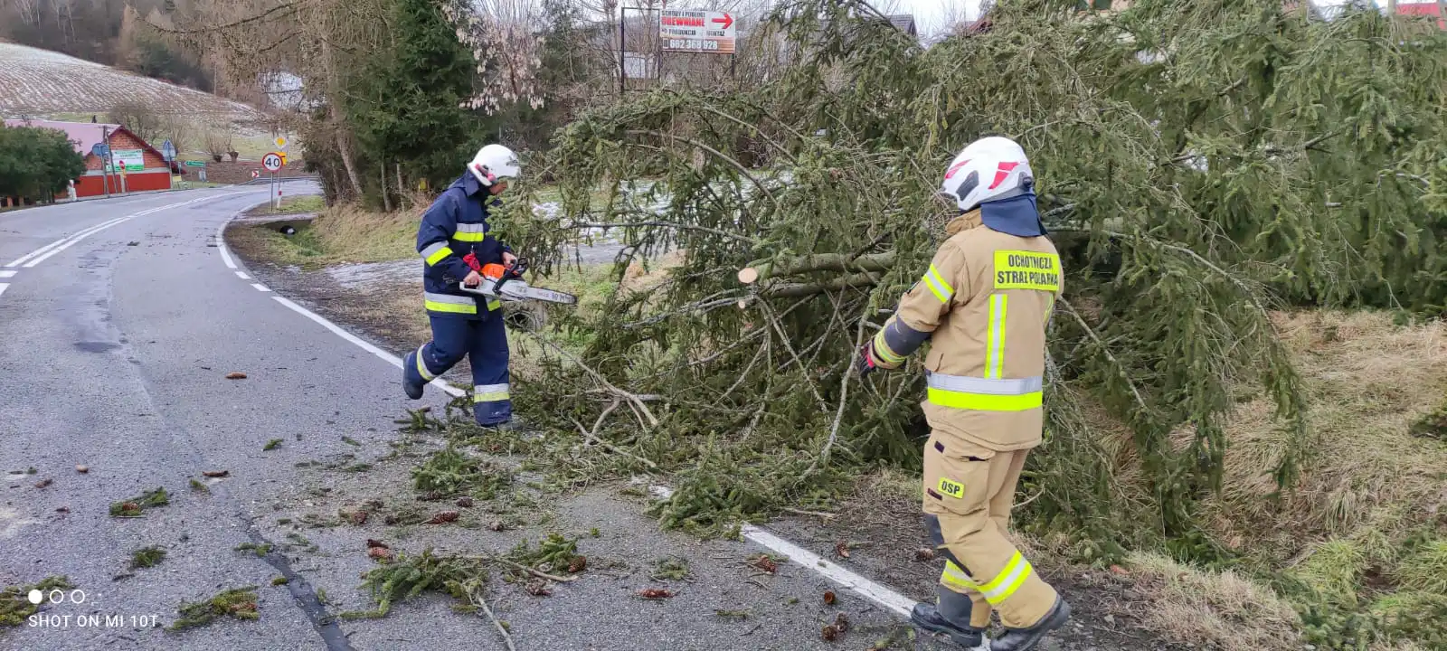 Wietrzna niedziela na Sądecczyźnie  Strażacy usuwali skutki silnego wiatru