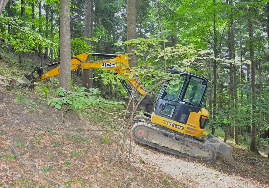Łomnica-Zdrój. Ukradli koparkę o wartości blisko 200 tys. zł i ukryli ją w lesie. Grozi im do 10 lat więzienia