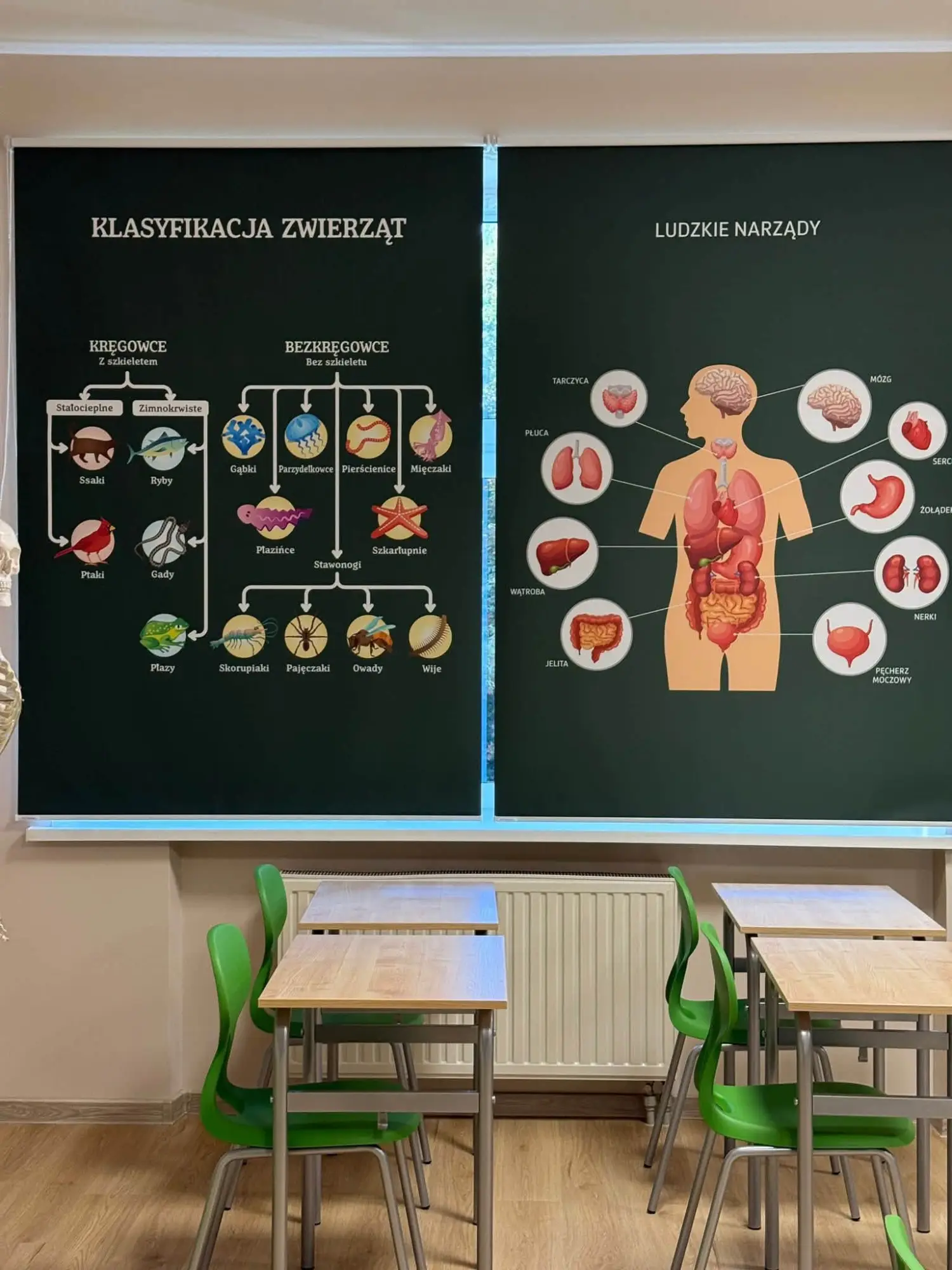 Ponad 60 tys. zł na projekt w Chomranicach. W szkole powstała nowa sala
