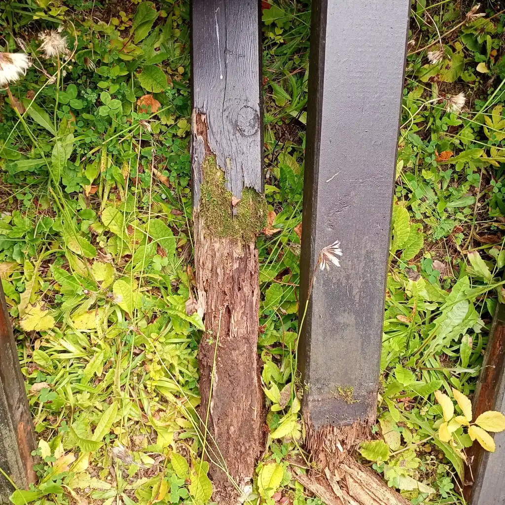 Tymbark dba o pamięć. Ruszyły prace na Cmentarzu Wojennym nr 365