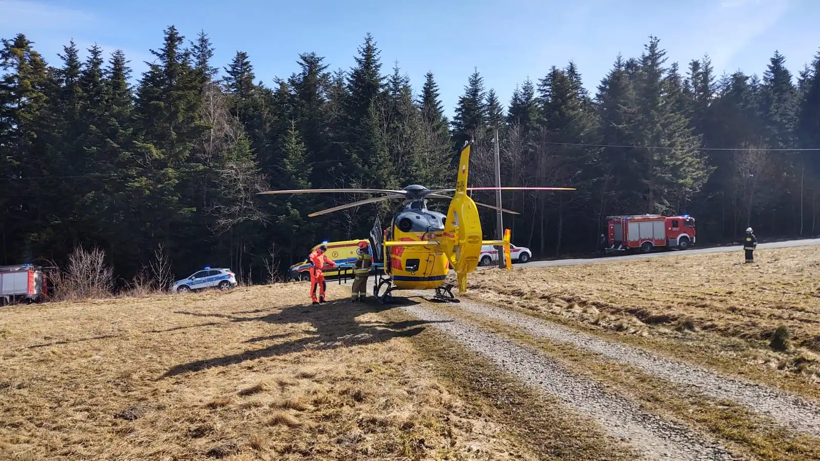 Stara Wieś: śmiertelny wypadek przy wycince drzew