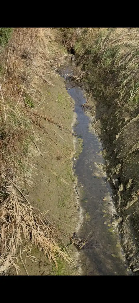 Czy Poręba Mała doczeka się regulacji potoków? Mieszkańcy apelują do Wód Polskich