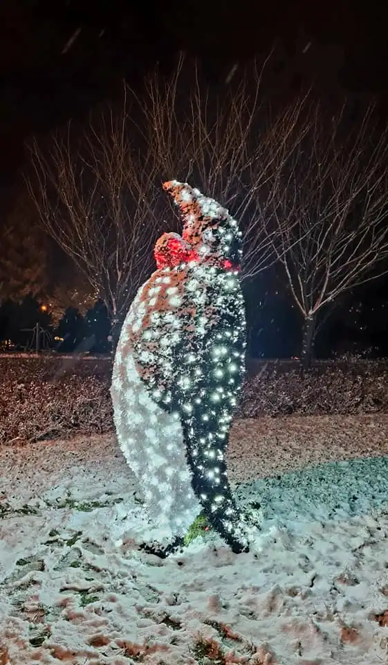 Muszyna pełna świątecznego blasku