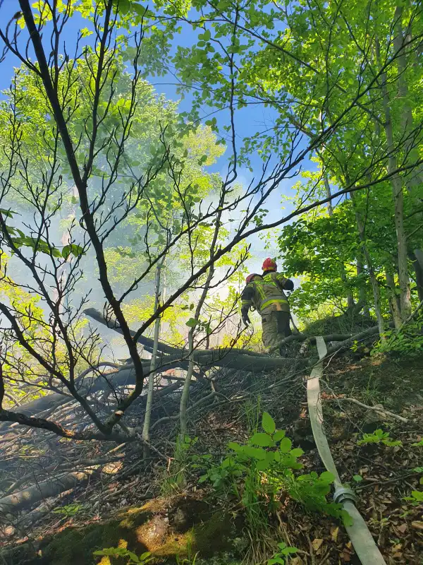 Pożar lasu w Żegiestowie. Z ogniem walczyło 12 zastępów straży