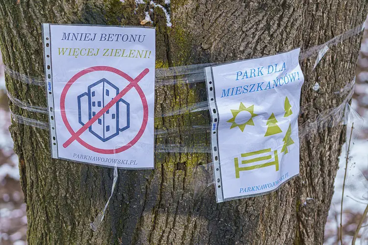 Mieszkańcy osiedla Nawojowska walczą o park. Nie chcą wycinki ponad stu drzew