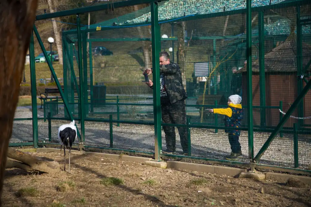 Krokusy i pierwszy dzień wiosny w muszyńskich ogrodach