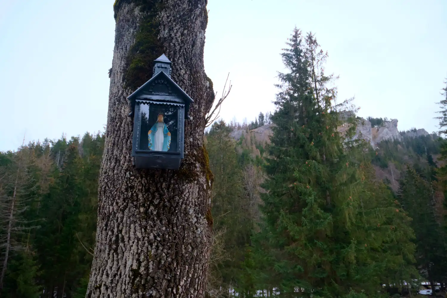 Karpacki Oddział Straży Granicznej podsumował 2022 rok