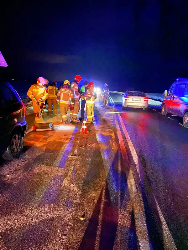 Ptaszkowa: Na DK28 zderzyły się cztery osobówki i dzik